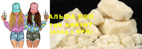 гашик Тайга