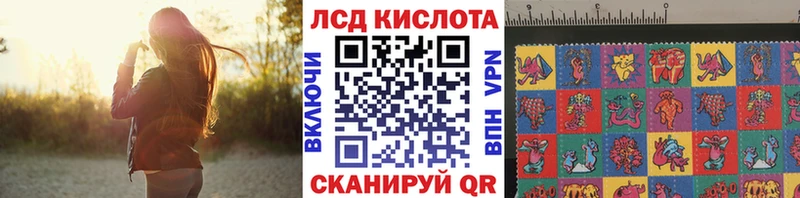 купить наркотик  Жирновск  ссылка на мегу сайт  Марки NBOMe 1500мкг 