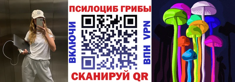 Псилоцибиновые грибы Cubensis  ОМГ ОМГ ONION  Жирновск 